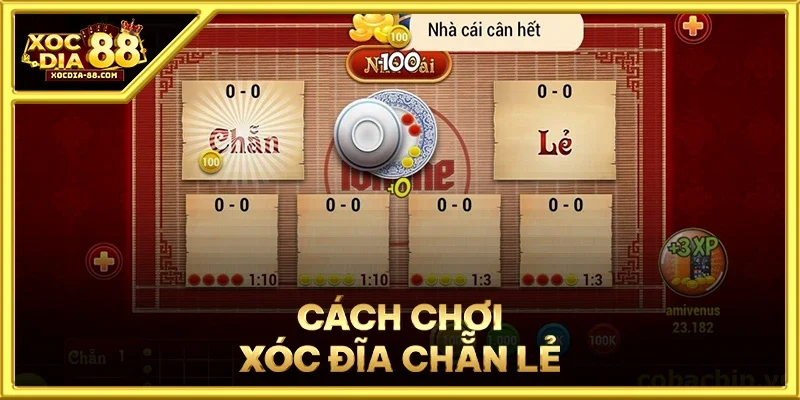 Cách Chơi Xóc Đĩa Chẵn Lẻ