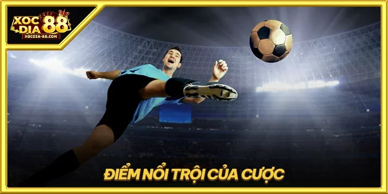 Điểm nổi trội của cược