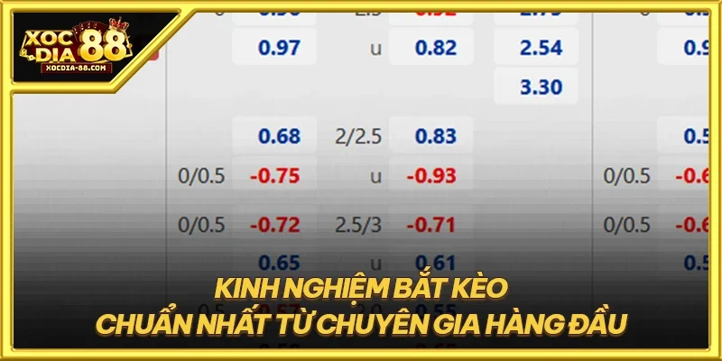 Kinh nghiệm bắt kèo chuẩn nhất từ chuyên gia hàng đầu