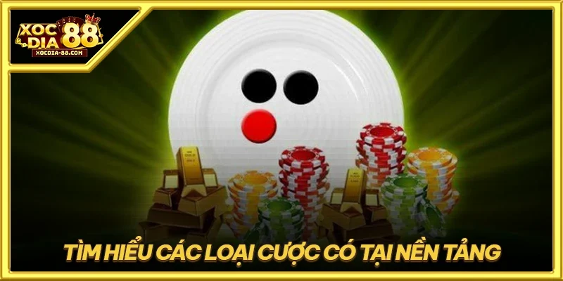 Tìm hiểu các loại cược có tại nền tảng